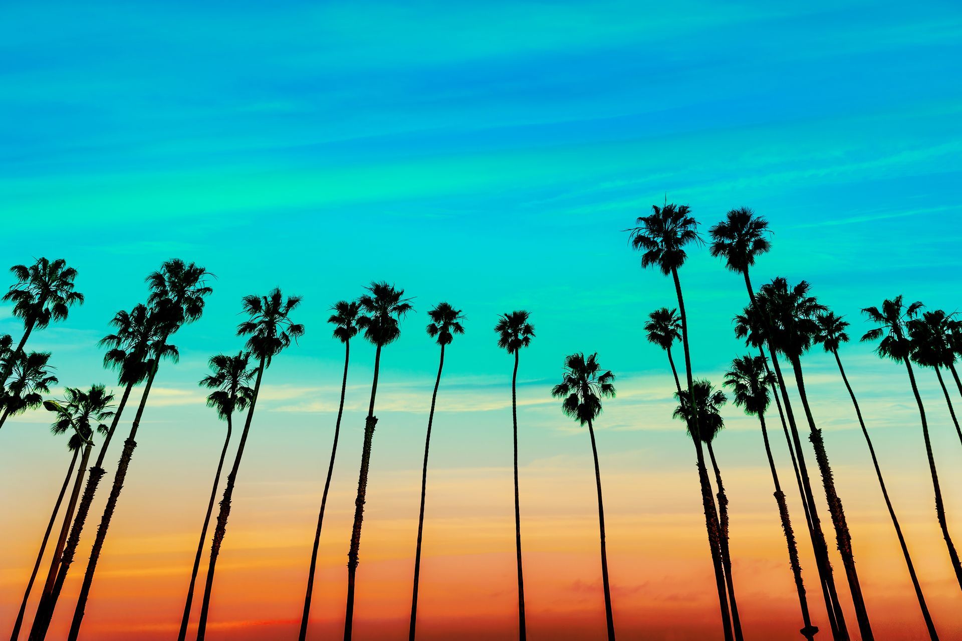 Palm silhouettes against a blue and amber evening sky.